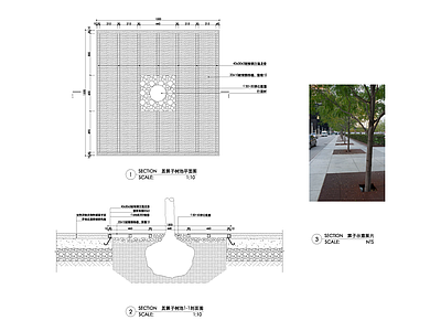树池篦 施工图