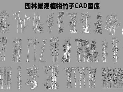 园林景观植物竹子图库 施工图