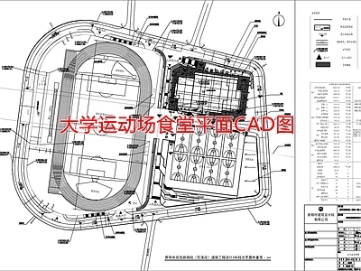 大学运动场食堂平面图 施工图 体育场