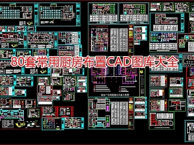 80套常用厨房布置图库大全 施工图