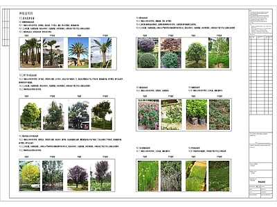 种植设计说明 施工图