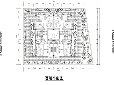 580㎡别墅平面图