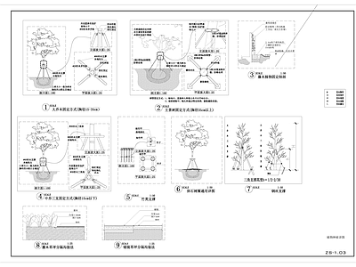 绿化种植设计说明 施工图