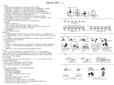 景观种植说明 施工图
