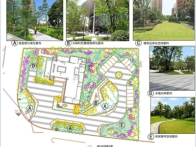 景观绿化地形平面图 施工图