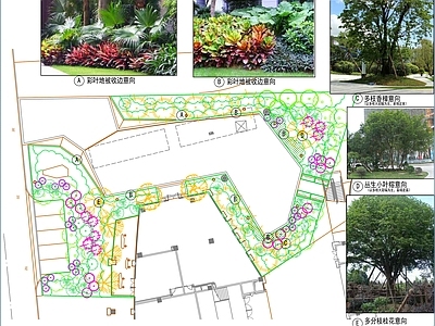 景观绿化植物平面图 布点图 施工图