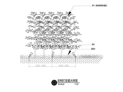 射树灯安装大样图 施工图