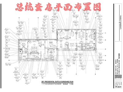 总统套房平面布置图 施工图