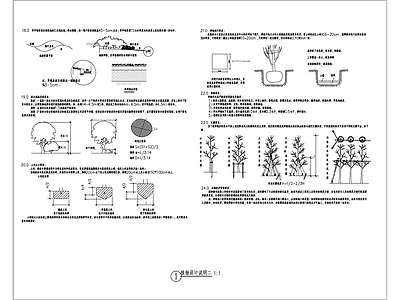 现代设计说明 绿化 植物 施工图