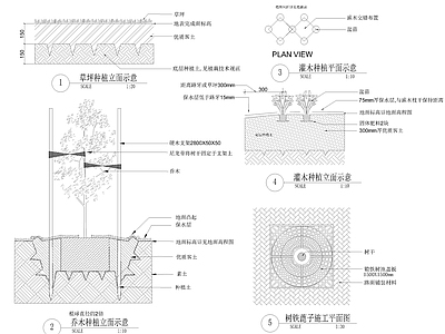 其他景观 绿化种植详图 施工图