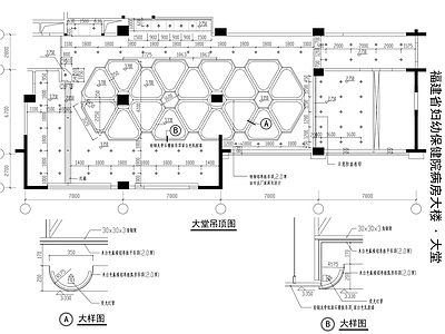 现代医院 妇幼保健院大堂 施工图