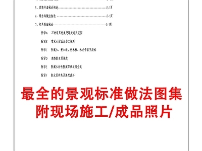 现代新中式综合制图规范 标准图集 规范 实景照片 做法 施工图