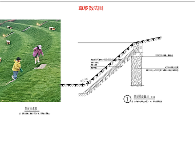 景观节点 草坡结构做法 网红草坡 施工图