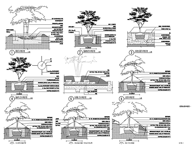 现代设计说明 植物标准种植图 施工图