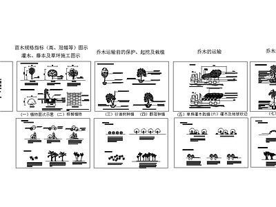 现代植物配置图库 植物种植施工说明 施工图