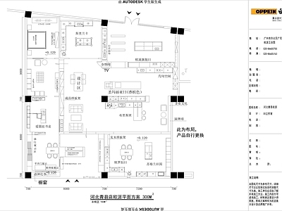 轻奢意式其他商业空间 施工图