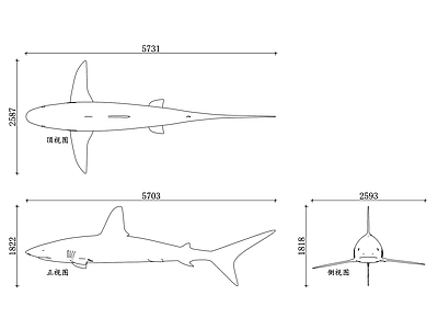 现代实验室 海洋生物鲨鱼设计 海洋生物鲨鱼结构 海洋生物鲨鱼纹理 海洋生物鲨鱼特征 海洋生物鲨鱼展示 施工图