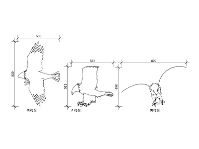 现代画室 猛禽鹰外观 猛禽鹰结构 猛禽鹰羽毛 猛禽鹰爪子 猛禽鹰飞行姿 施工图