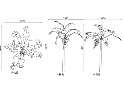 现代公园景观 香蕉形态 香蕉结构 香蕉叶片 香蕉果实 香蕉高度 施工图