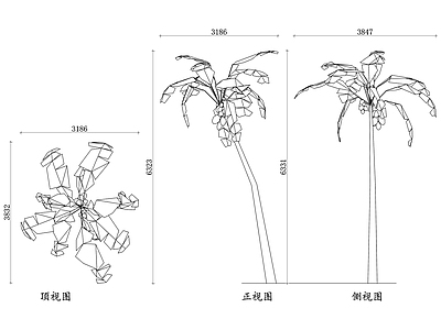 现代道路绿化 椰子平面图 椰子立面图 椰子剖面图 椰子细节图 椰子阴影图 施工图