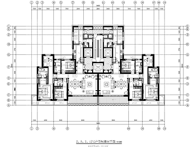 建筑平面图 220加220 豪宅 大平层 施工图