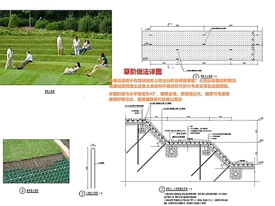 景观节点 草坡做法 网红草坪 草阶做法 人体工学草坪 生态看台 施工图