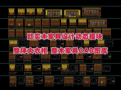 现代中式柜子 整体大 实木家具设计模块 整木家具图库 施工图