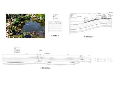 水处理 雨 生态水池 水净化 施工图