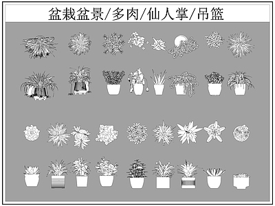 现代综合植物图库 盆栽盆景 多肉 仙人掌 施工图