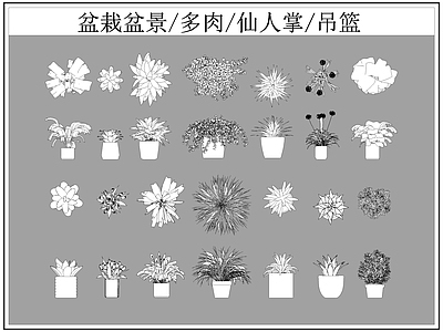 现代综合植物图库 盆栽盆景 多肉 仙人掌 施工图