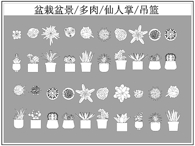 现代综合植物图库 盆栽盆景 多肉 仙人掌 施工图