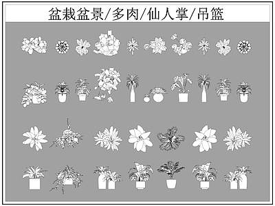 现代综合植物图库 盆栽盆景 多肉 仙人掌 施工图