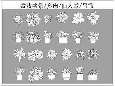 现代综合植物图库 盆栽盆景 多肉 仙人掌 施工图