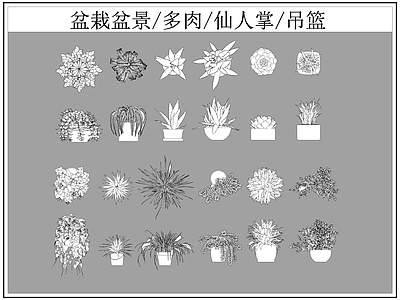 现代综合植物图库 盆栽盆景 多肉 仙人掌 施工图