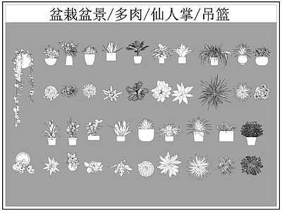 现代综合植物图库 盆栽盆景 多肉 仙人掌 吊篮 施工图