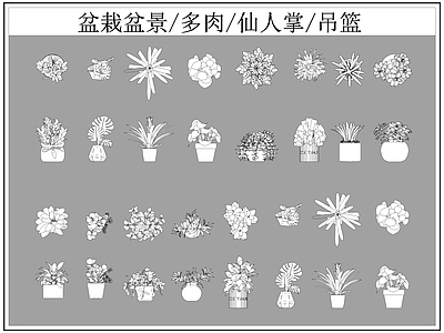 现代综合植物图库 盆栽盆景 多肉 仙人掌 施工图