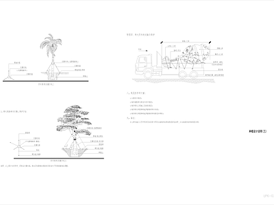 现代其他景观 种植 种植设计苗木表 苗木表 施工图