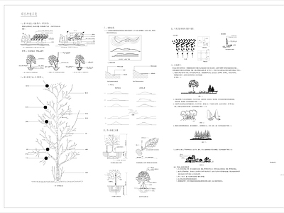 现代综合景观图库 绿化种植示意 绿化施工说明 施工图