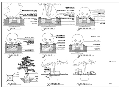 景观节点 植物标准种植 乔木支撑 植物配置 施工图