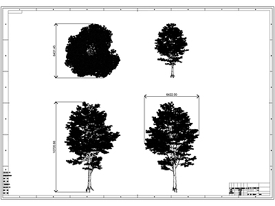 现代树 松 施工图