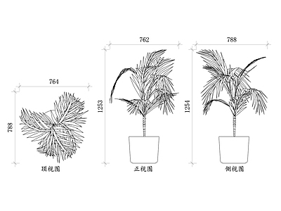 现代树 槟榔盆景平面图 槟榔盆景结构图 槟榔盆景设计图 槟榔盆景布局图 槟榔盆景养护图 施工图