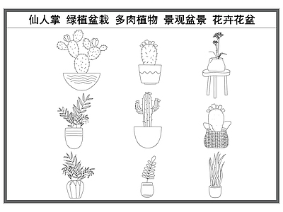 现代花 仙人掌 绿植盆栽 多肉植物 景观盆景 卉盆 施工图