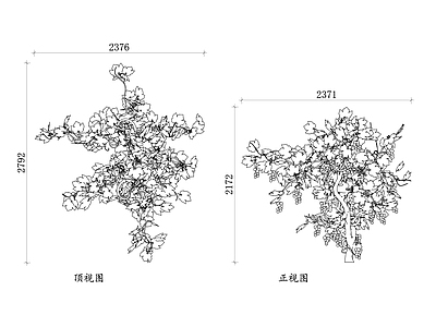 现代综合植物图库 葡萄园藤蔓 葡萄藤 葡萄蔓 葡萄藤蔓 葡萄园藤条 施工图