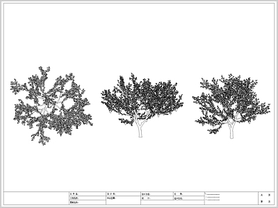 现代树 水果 果 景观 乔木 果园 施工图