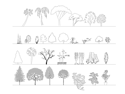 现代综合植物图库 植物立面 木立面 施工图