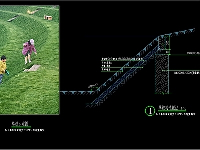 景观节点 草坪草坡做法 施工图