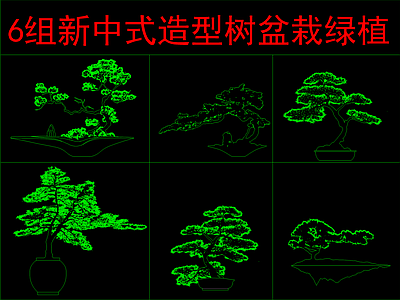 新中式中式树 6组造型盆栽 造型松盆栽绿植 施工图