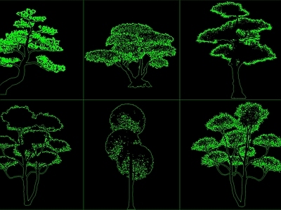 新中式树 造型造型松图块 施工图