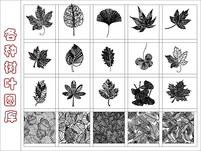 现代其他图库 各种树叶图库 施工图