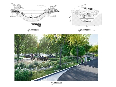景观节点 雨水园 植草沟做法详图 雨水园剖面图 施工图